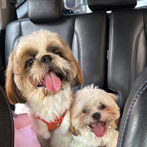 ana_travels