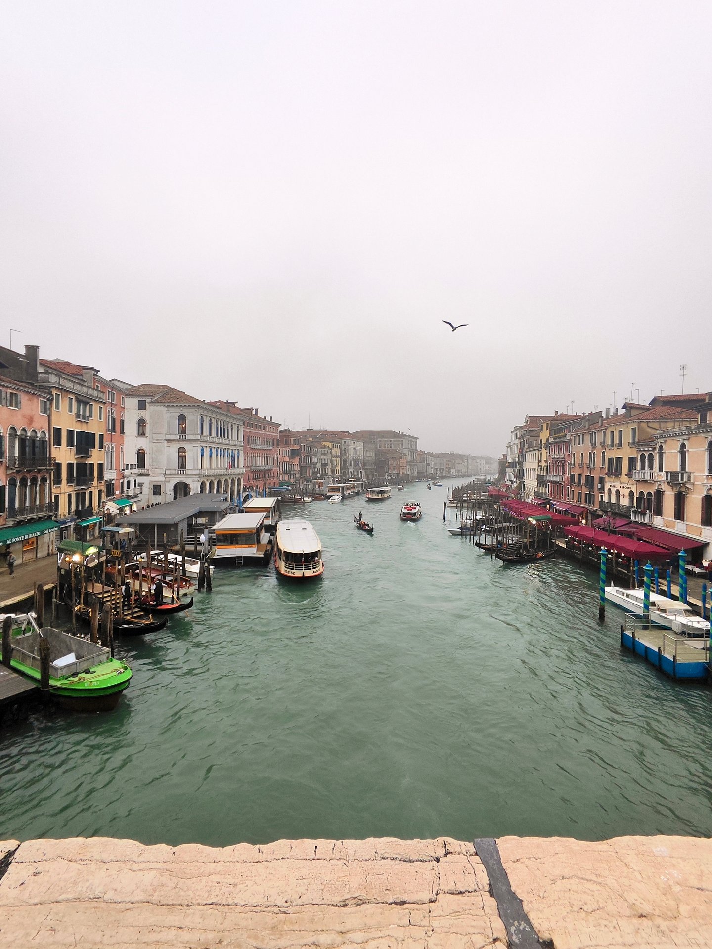 The Rialto in winter — the famous view, mostly to myself