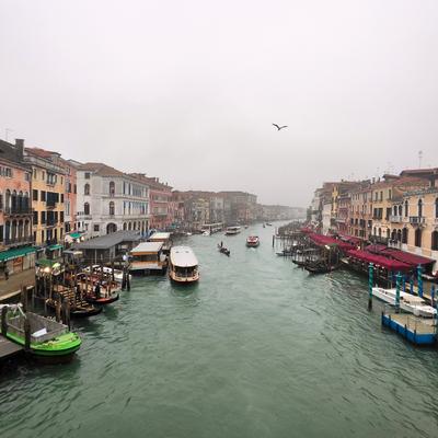 The Rialto in winter — the famous view, mostly to myself