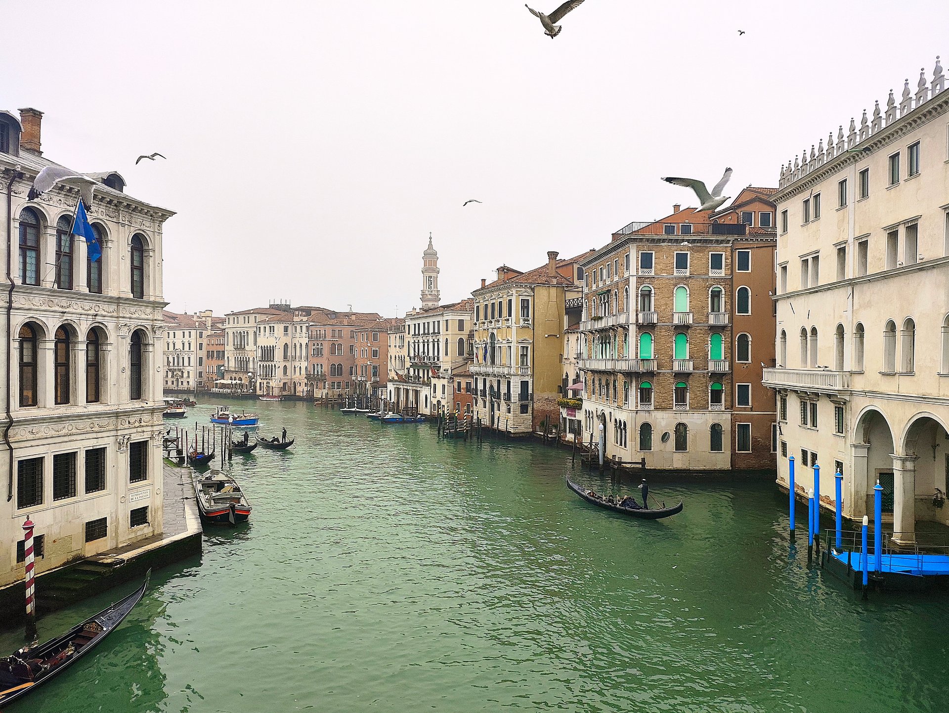 The Rialto in winter — the famous view, mostly to myself