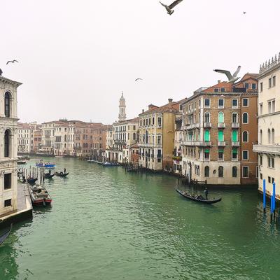 The Rialto in winter — the famous view, mostly to myself
