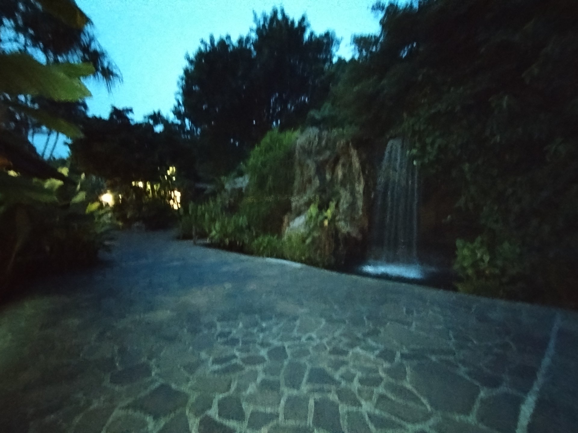 Singapore Botanic Gardens