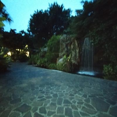 Singapore Botanic Gardens