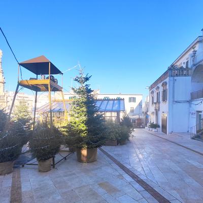 A Grand Accent in the Heart of the Piazza